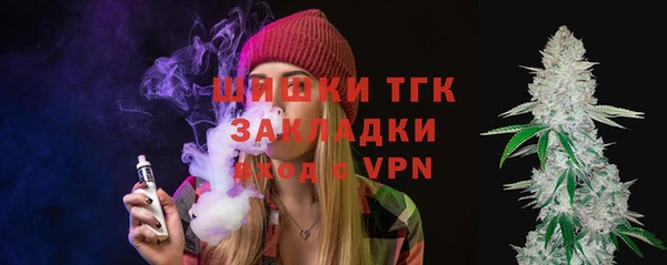 стафф Арсеньев