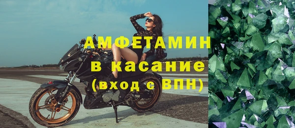 стафф Арсеньев