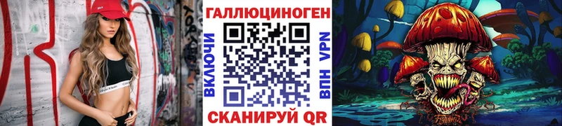 закладки  Южно-Сухокумск  Псилоцибиновые грибы MAGIC MUSHROOMS 